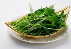 请问医生怎么护肝养肝效果更好呢？